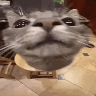 Fiflak